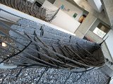 IMG 1548