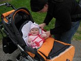 IMG 1679