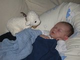 IMG 0451