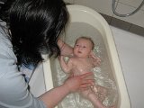 IMG 0518