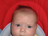 IMG 0725