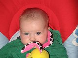 IMG 0791