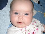 IMG 0827