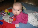 IMG 0913