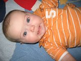 IMG 0992