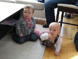 IMG 2160