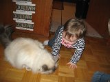 IMG 2206