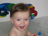 IMG 2229