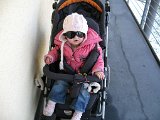 IMG 2231