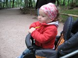 IMG 2581