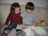IMG 2979