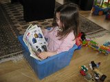 IMG 3973