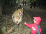 IMG 4364