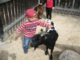 IMG 4411