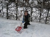 IMG 4511