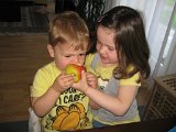 IMG 4660