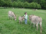 IMG 4762