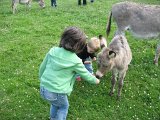 IMG 4766