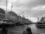 IMG 4830