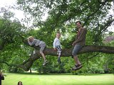 IMG 4970