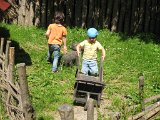 IMG 4983