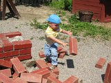 IMG 4987