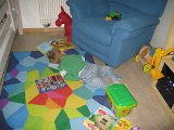 IMG 5128