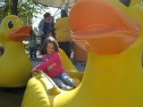 IMG 5195