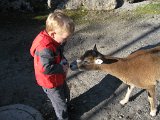 IMG 5221