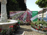 DSCN0459
