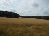 DSCN1409