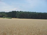 DSCN1485