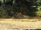 DSCN1629