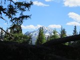 IMG 0232