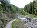 IMG 0236