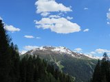 IMG 0241