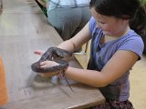 IMG 0343