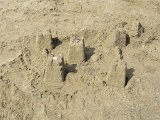 IMG 0515