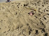 IMG 0526