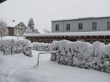 IMG 0772