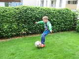IMG 0992