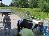 IMG 1117