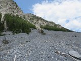 IMG 1192