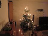 IMG 1556