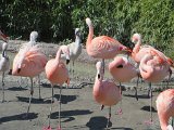 IMG 1680