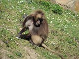 IMG 1693