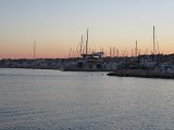 IMG 1919